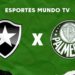 Botafogo x Palmeiras